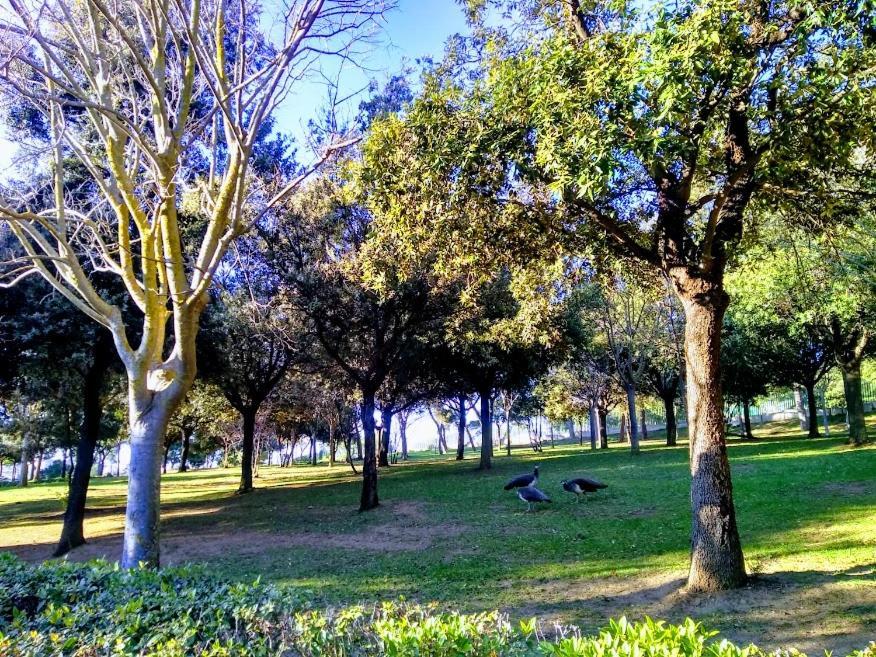 Castelvi Rooms Cagliari Dış mekan fotoğraf