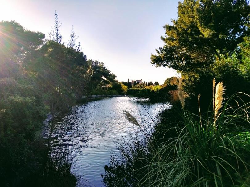 Castelvi Rooms Cagliari Dış mekan fotoğraf